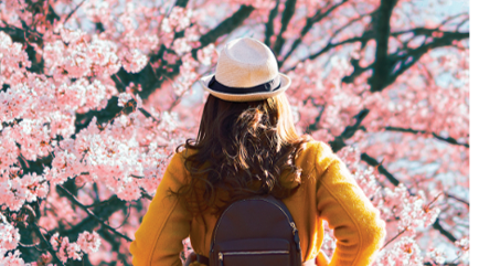 女子站在櫻花林中;圖片使用於投保合資格延期年金計劃可享稅務扣減優惠頁面。