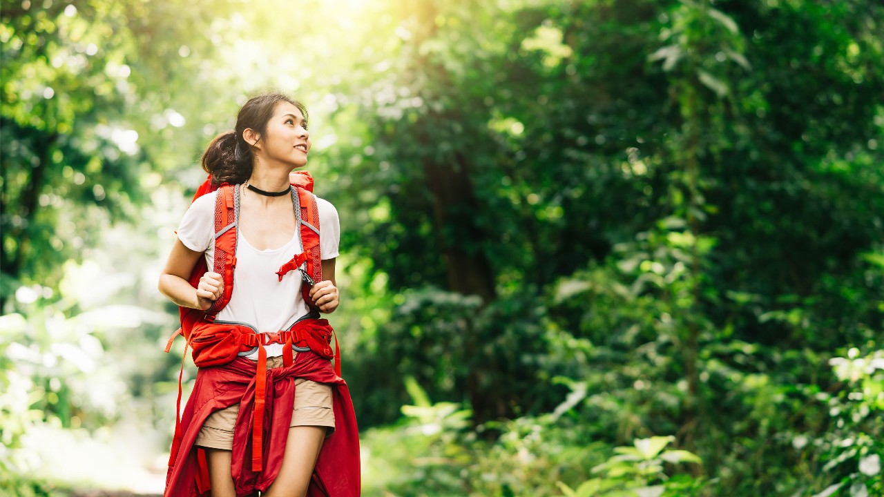 女士背着背包在森林旅游