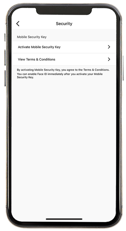 activate your Mobile Security Key with dual-password setup step4