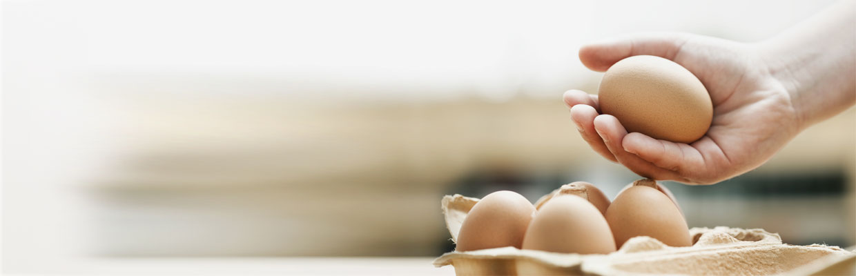 human hand holding an egg; image used for HSBC Investments Article Page.