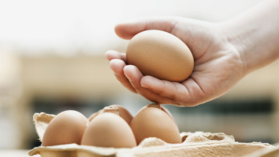 人类的手，握着一个鸡蛋； 图片使用于汇丰投资文章页面。