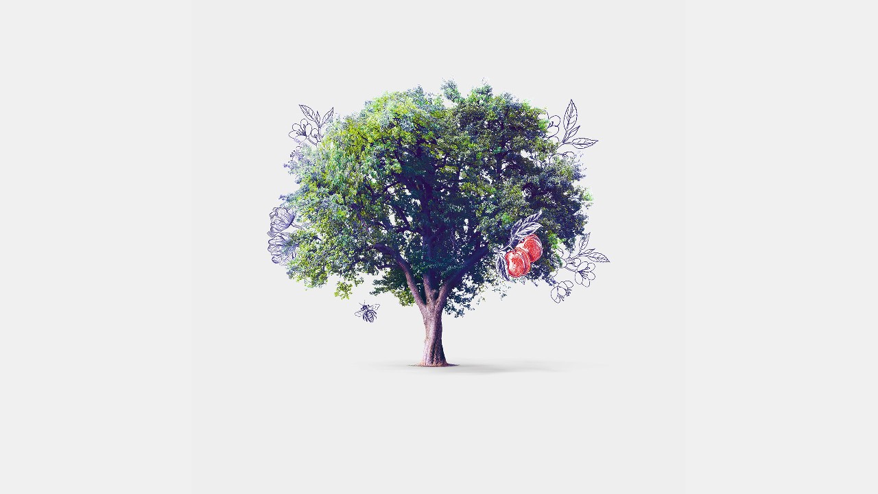 花朵背景下的大樹